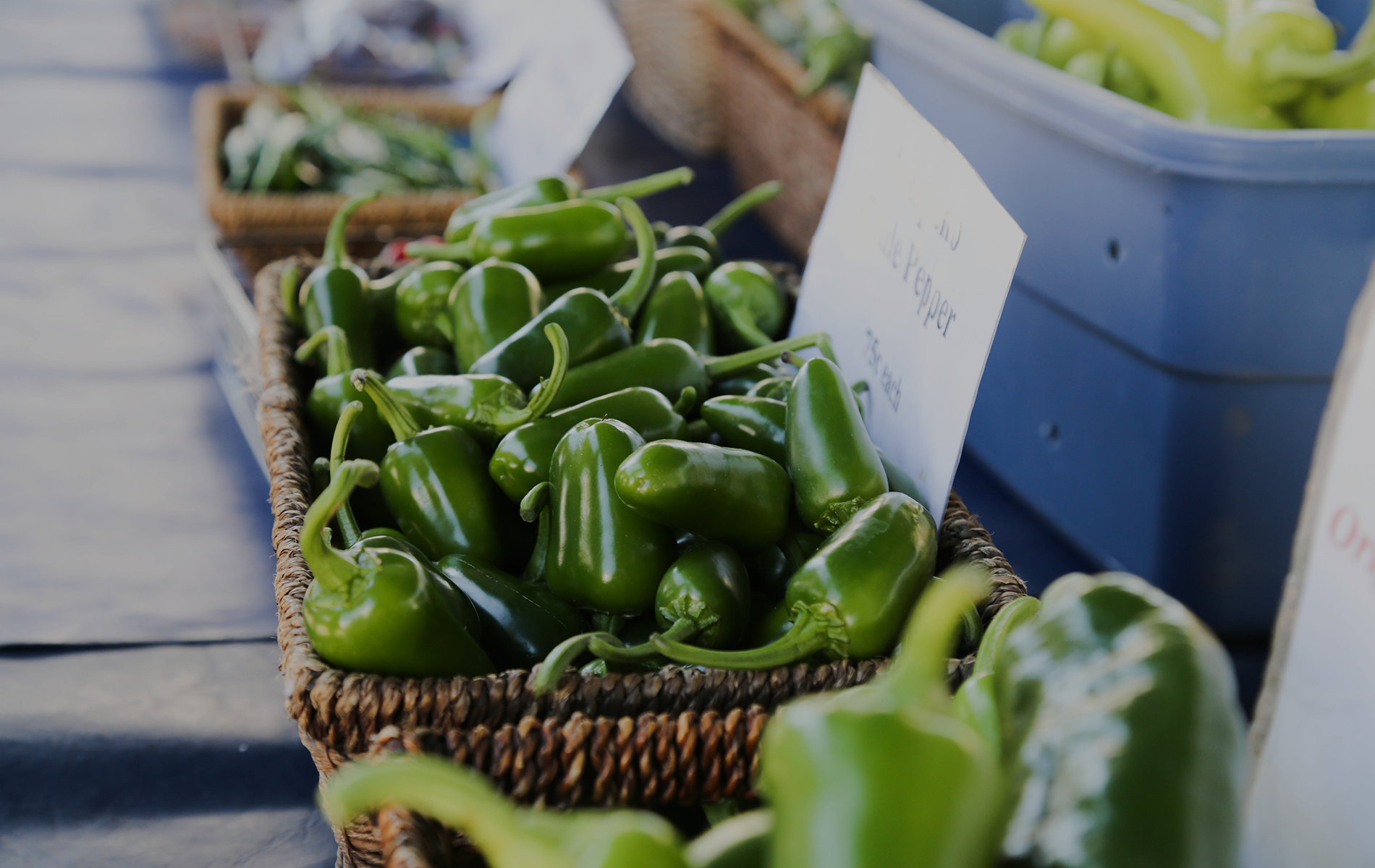 Downtown Strathroy Farmer’s Market